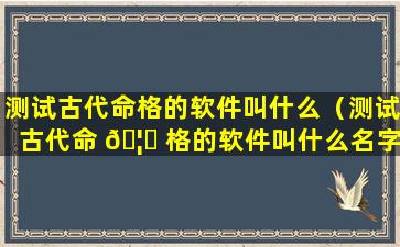 测试古代命格的软件叫什么（测试古代命 🦆 格的软件叫什么名字）